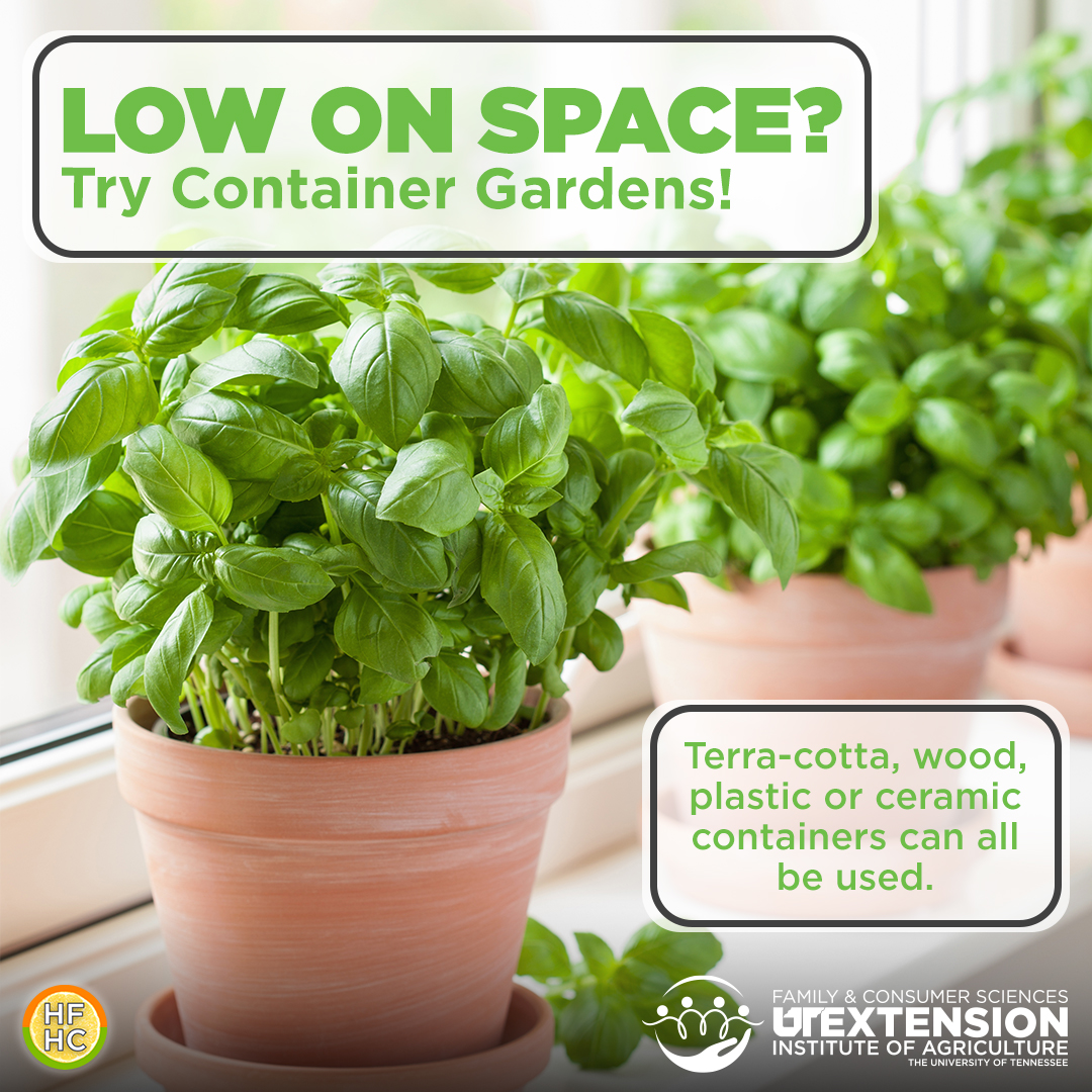 container gardens