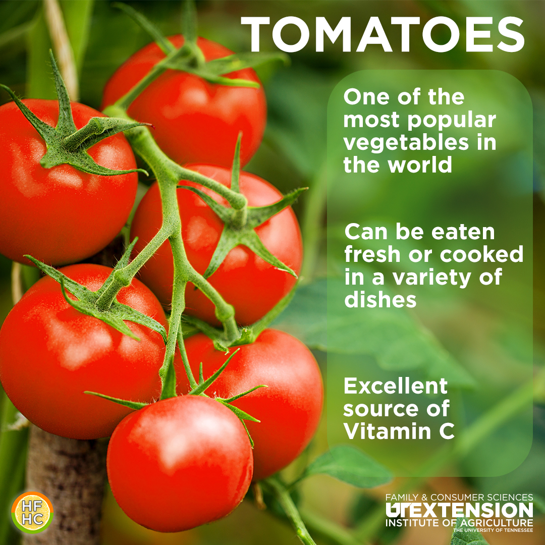tomatoes